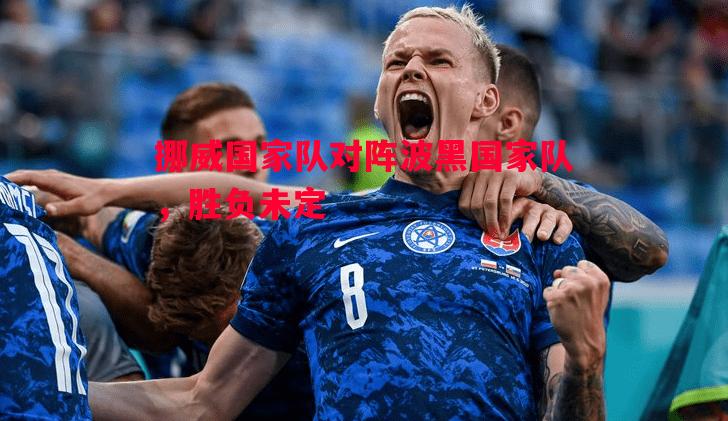 挪威国家队对阵波黑国家队，胜负未定