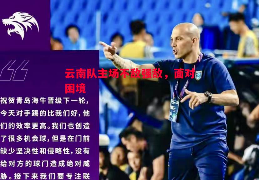 云南队主场不敌强敌，面对困境
