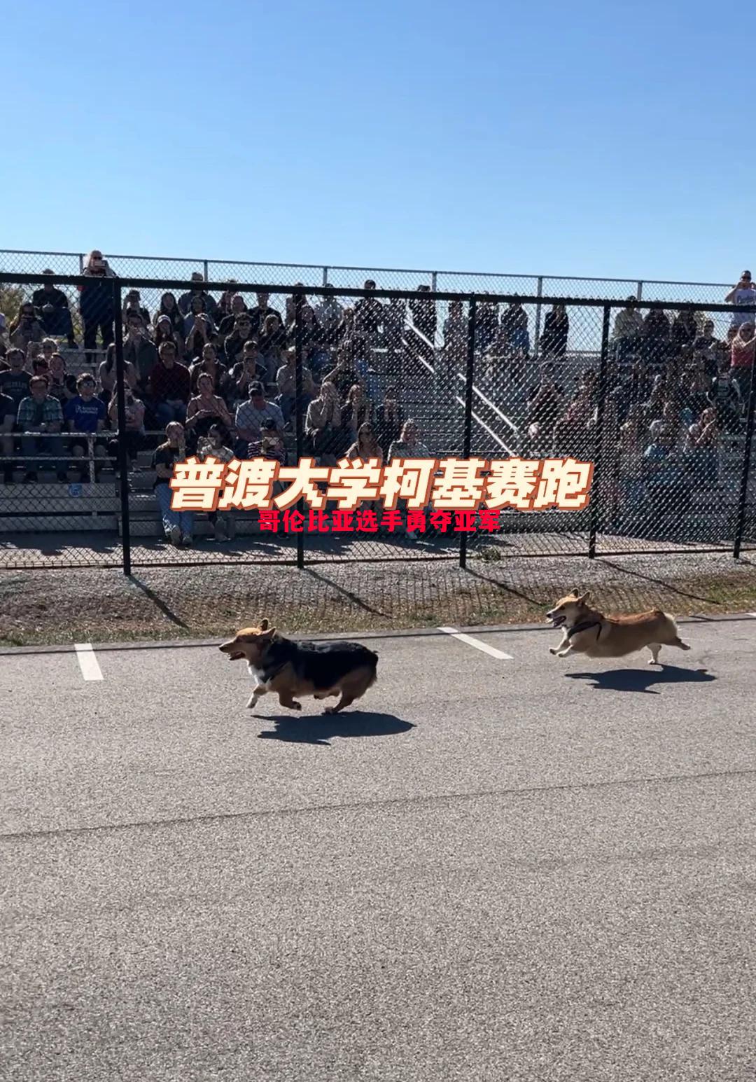 哥伦比亚选手勇夺亚军